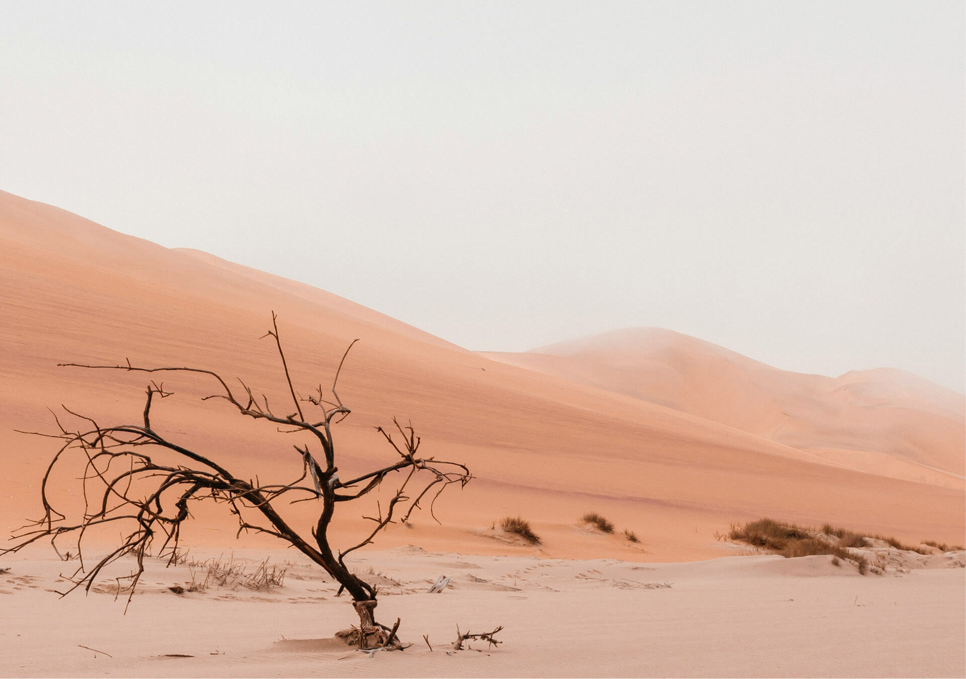 The Power of Affirmations: Timing and Repetition for Optimal Results